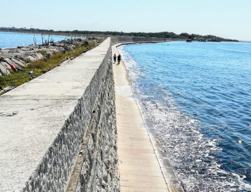 Vom Naturschutzgebiet Caroman zur Fischerinsel  Pellestrina entlang der „Murazzi“