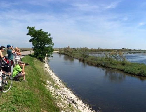Fahrradtour ins Herz der nördlichen Lagune nach Lio Piccolo