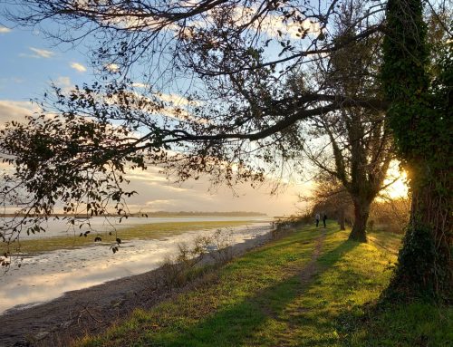 Halbtagstour auf der Insel Sant’Erasmo